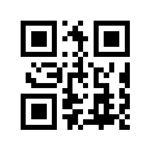 Brgu.ru QR code