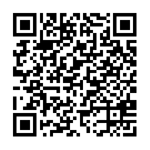 Briannealfitnessandhealthfoundation.org QR code