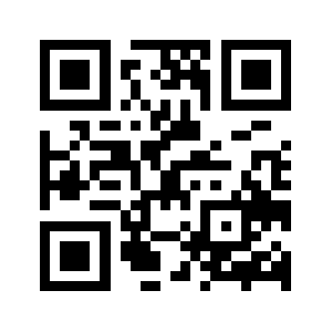 Bribetwork.com QR code