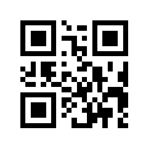 Bricco QR code