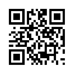 Bricksmeta.com QR code