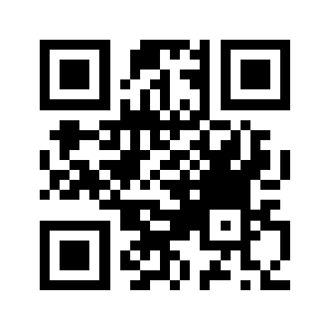 Bridge9.com QR code