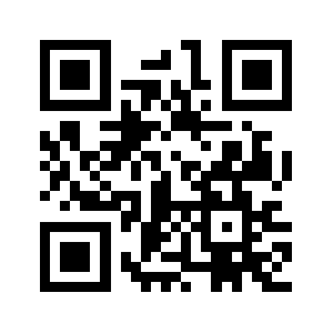 Bringitlc.com QR code