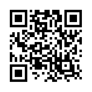 Brinksfrance.com QR code