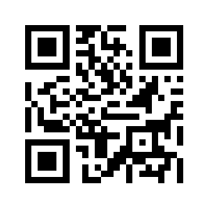 Briskbodga.com QR code