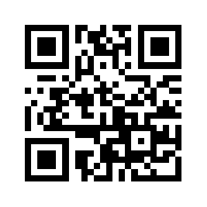 Brizzyng.com QR code