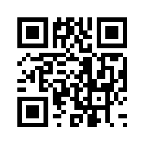 Brodis.online QR code