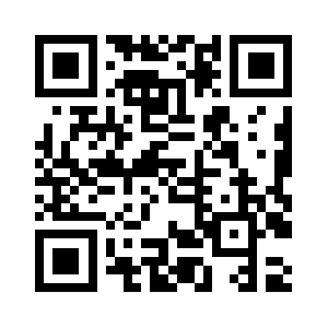 Brogrammer.info QR code