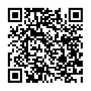 Browardcountydepartmentofcorrections.com QR code