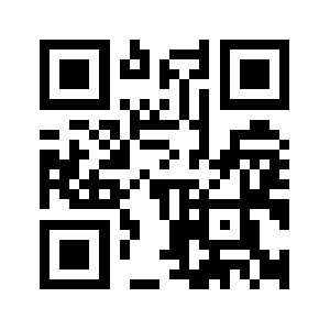 Bruijg.com QR code