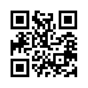 Bruneidata.com QR code