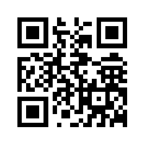 Brunicip.com QR code