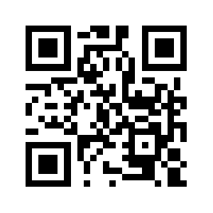 Bruyneel.biz QR code