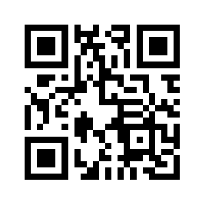 Bruyork.info QR code