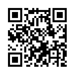 Bugsvrocket.com QR code