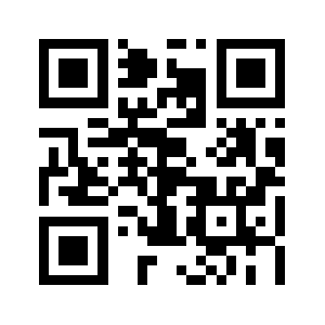 Bulkammo.com QR code