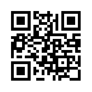 Bundlecg.org QR code