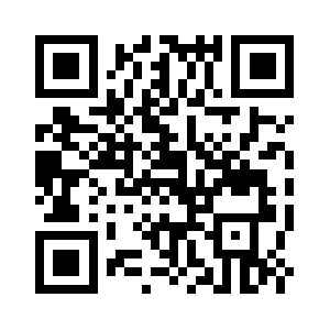 Burkestrategy.info QR code