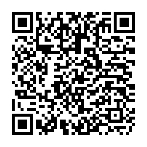 Businessimmigrationcanada-immigrantinvestorvisa-egypt.com QR code