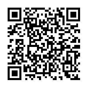 Businessopportunitycarpetcleaning.info QR code