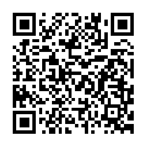 Buy-one-get-one-free-store.myshopify.com QR code