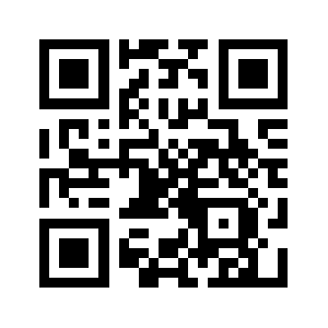 Bvm100.com QR code