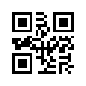 Bvng.de QR code