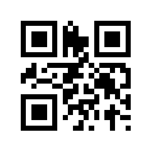 Bwm.llc QR code