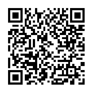 By.dob.sibl.support-intelligence.net QR code
