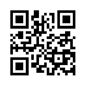 Bzdchina.com QR code