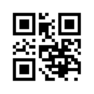 Bzi.ro QR code