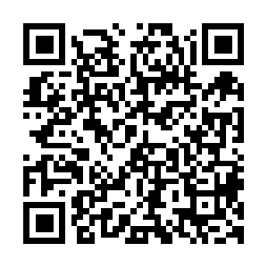 Californiadna-paternitytestingservice.com QR code