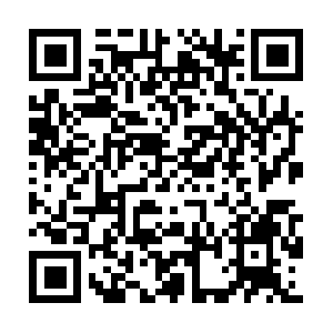 Canexpiecesdautosreconditionneesinc.ca QR code