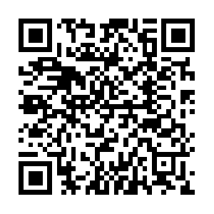 Cannabisbankofidahocorporationofamerica.com QR code