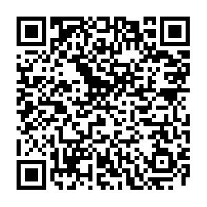 Careerlink.vn.dob.sibl.support-intelligence.net QR code