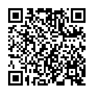 Careerpointcoachingclassesrajsamand.in QR code