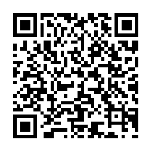 Carolinaprorealestateinspections.com QR code