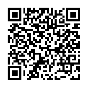 Cashsolitaire-android.shapekeeper.net QR code