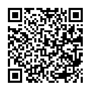 Catalcarecepgayrimenkuldanismanlik.com QR code