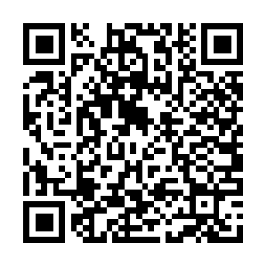 Catlitterboxblackfridayonlinesales.info QR code