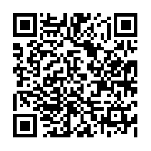 Cbdscienceandresearchofnorthamerica.com QR code