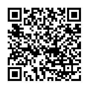 Cementblockmachinesalesinsrilanka.com QR code