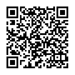 Centrodedesarrollodelninoylafamilia.com QR code