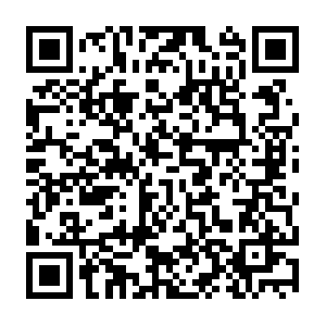 Ceoalternativedirectorsleadershipteamemail.com QR code