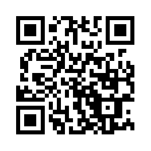 Ceoitplaybook.com QR code