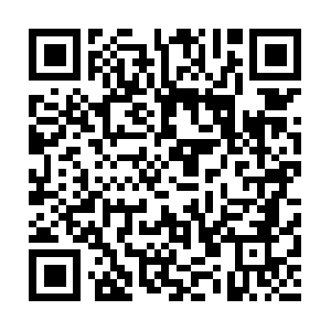 Cf69e42a61c5238b44f38931.cjbua.mongodb.net QR code