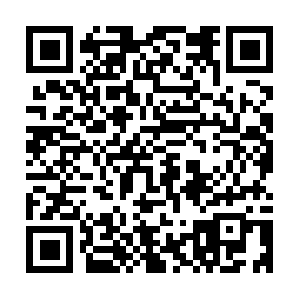 Cf78b1527695eda72cb7d69d.rx5qd.mongodb-qa.net QR code