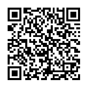 Chairperson-ceo-collaboration-contract.com QR code
