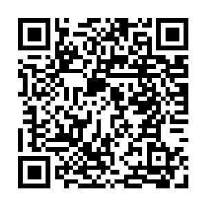 Chancegovsecprotectandroidstrong.net QR code