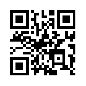 Channaizzo.com QR code